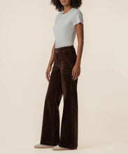 Load image into Gallery viewer, Jodi Velvet Jeans

