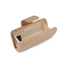 Load image into Gallery viewer, Sylvi Evening Bag
