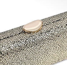 Load image into Gallery viewer, Elestine Evening Bag
