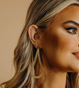 James Earrings