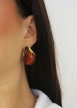 Load image into Gallery viewer, Bermuda Tortoise Earrings
