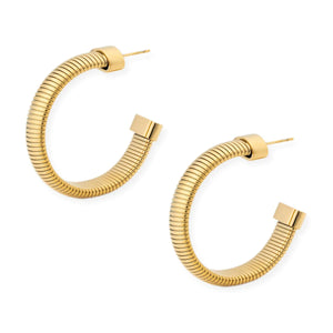 Timeless Hoops