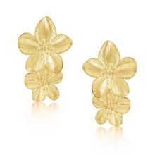 Load image into Gallery viewer, Marcie Earrings

